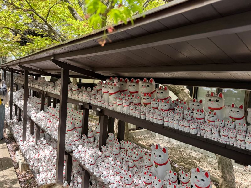Gotokuji "cat shrine"