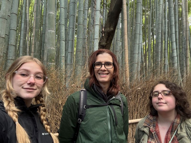 Bamboo Grove, Arashiyama Park, Kyoto