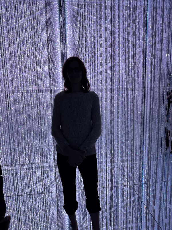 teamLab Planets, Tokyo