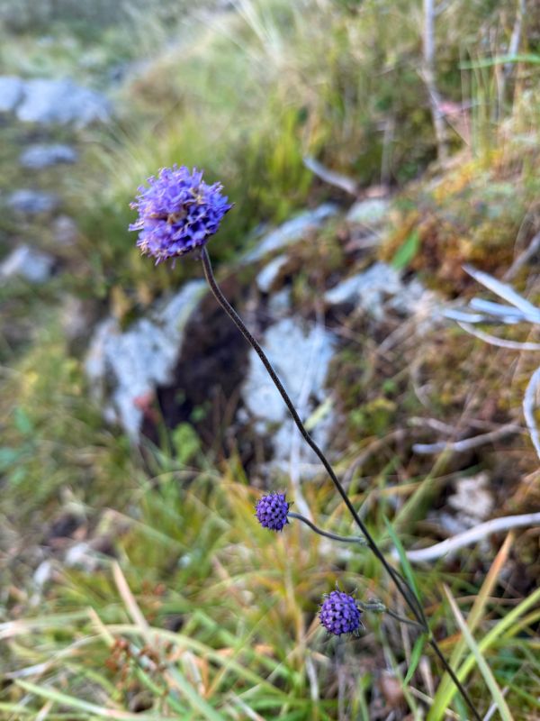 Preikestolen Hike September 2025, Devils Bite.