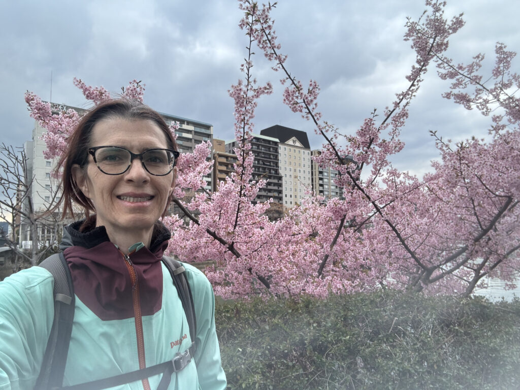 Cherry Blossoms, Hiroshima, Julie McCoy
