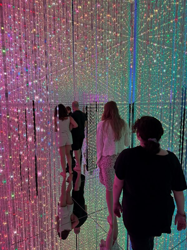 teamLab Planets, Tokyo